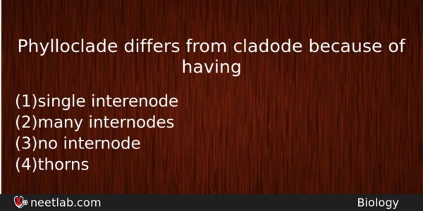 Phylloclade Differs From Cladode Because Of Having Biology Question 