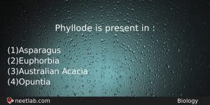 Phyllode Is Present In Biology Question