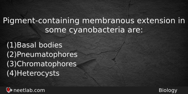 Pigmentcontaining Membranous Extension In Some Cyanobacteria Are Biology Question 