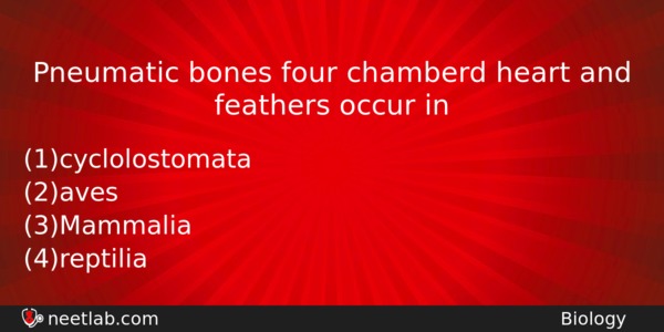 Pneumatic Bones Four Chamberd Heart And Feathers Occur In Biology Question 