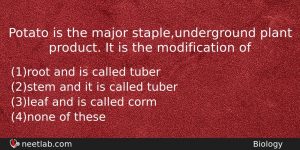 Potato Is The Major Stapleunderground Plant Product It Is The Biology Question