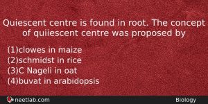 Quiescent Centre Is Found In Root The Concept Of Quiiescent Biology Question