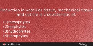 Reduction In Vascular Tissue Mechanical Tissue And Cuticle Is Characteristic Biology Question
