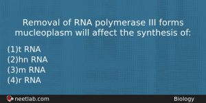 Removal Of Rna Polymerase Iii Forms Mucleoplasm Will Affect The Biology Question