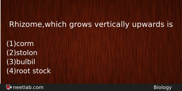 Rhizomewhich Grows Vertically Upwards Is Biology Question 