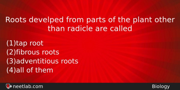 Roots Develped From Parts Of The Plant Other Than Radicle Biology Question 