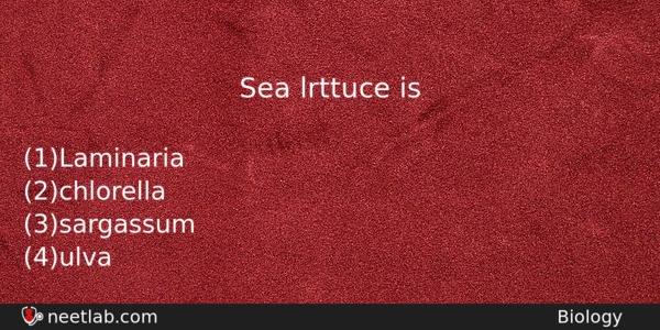 Sea Lrttuce Is Biology Question 