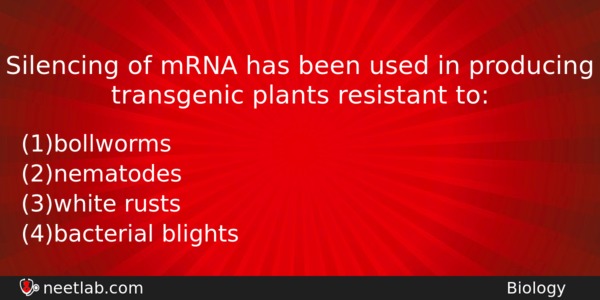 Silencing Of Mrna Has Been Used In Producing Transgenic Plants Biology Question 