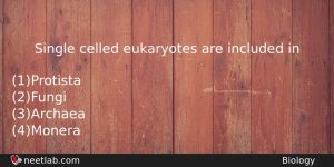 Single Celled Eukaryotes Are Included In Biology Question