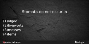 Stomata Do Not Occur In Biology Question