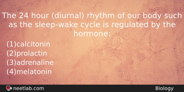 The 24 Hour Diurnal Rhythm Of Our Body Such As Biology Question 