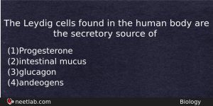 The Leydig Cells Found In The Human Body Are The Biology Question