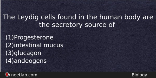 The Leydig Cells Found In The Human Body Are The Biology Question 