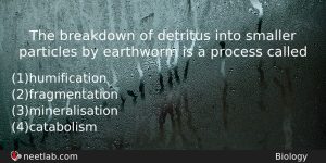The Breakdown Of Detritus Into Smaller Particles By Earthworm Is Biology Question