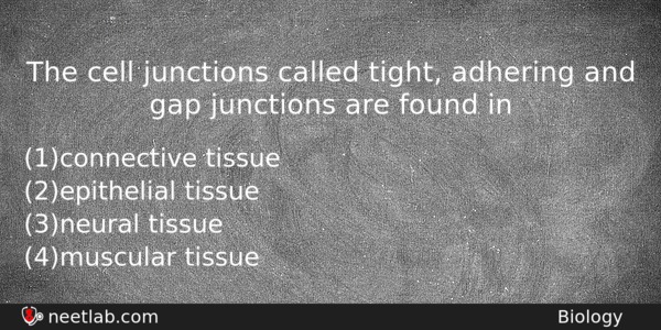 The Cell Junctions Called Tight Adhering And Gap Junctions Are Biology Question 
