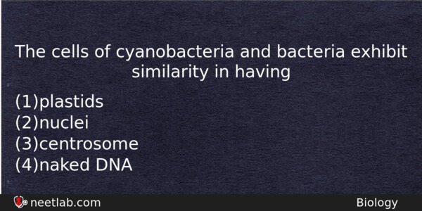 The Cells Of Cyanobacteria And Bacteria Exhibit Similarity In Having Biology Question 