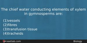 The Chief Water Conducting Elements Of Xylem In Gymnosperms Are Biology Question