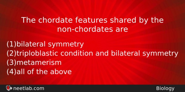 The Chordate Features Shared By The Nonchordates Are Biology Question 