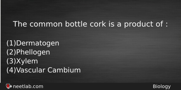 The Common Bottle Cork Is A Product Of Biology Question 