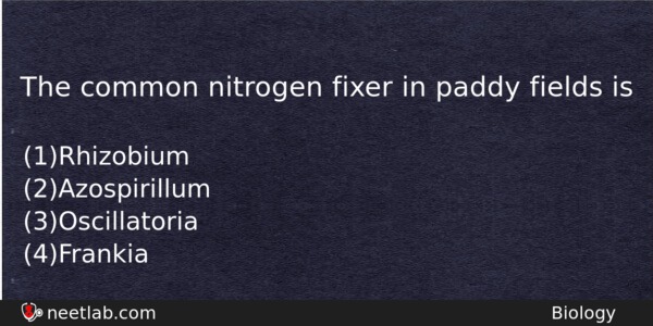 The Common Nitrogen Fixer In Paddy Fields Is Biology Question 