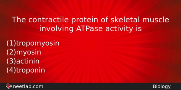 The Contractile Protein Of Skeletal Muscle Involving Atpase Activity Is Biology Question 