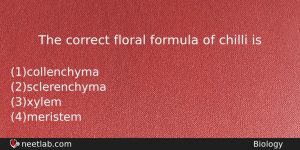 The Correct Floral Formula Of Chilli Is Biology Question