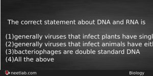The Correct Statement About Dna And Rna Is Biology Question