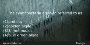 The Cyanobacteria Are Also Referred To As Biology Question