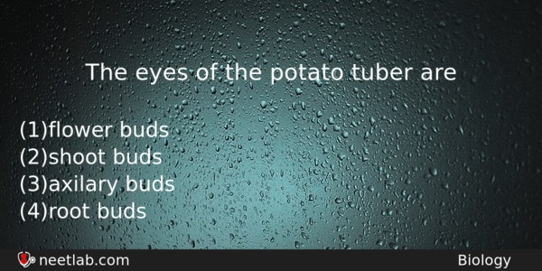 The Eyes Of The Potato Tuber Are Biology Question 