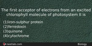 The First Acceptor Of Electrons From An Excited Chlorophyll Molecule Biology Question