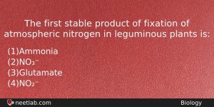 The First Stable Product Of Fixation Of Atmospheric Nitrogen In Biology Question