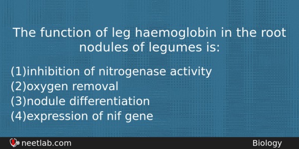The Function Of Leg Haemoglobin In The Root Nodules Of Biology Question 