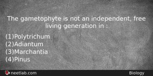 The Gametophyte Is Not An Independent Free Living Generation In Biology Question