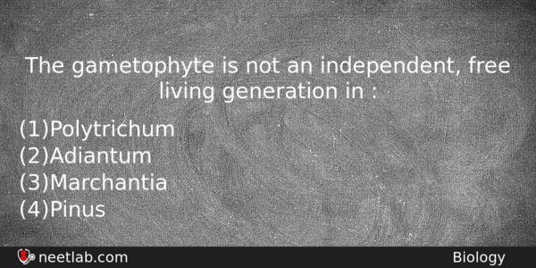 The Gametophyte Is Not An Independent Free Living Generation In Biology Question 