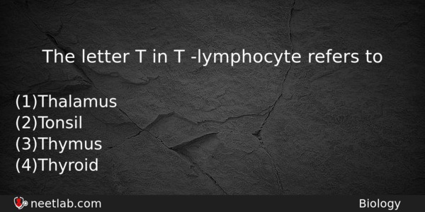 The Letter T In T Lymphocyte Refers To Biology Question 