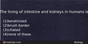 The Lining Of Intestine And Kidneys In Humans Is Biology Question