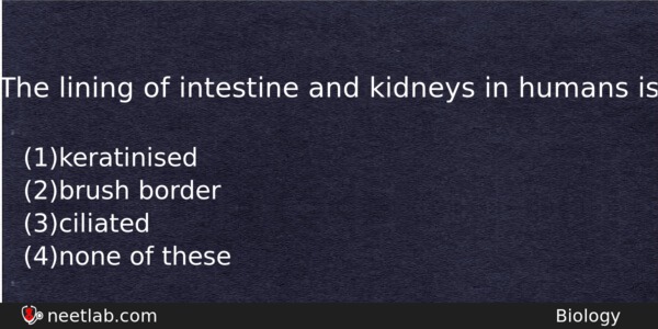 The Lining Of Intestine And Kidneys In Humans Is Biology Question 
