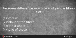 The Main Difference In White And Yellow Fibres Is Of Biology Question