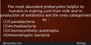 The Most Abundant Prokaryotes Helpful To Humans In Making Curd Biology Question