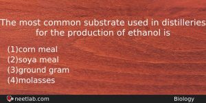 The Most Common Substrate Used In Distilleries For The Production Biology Question