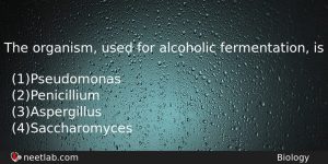The Organism Used For Alcoholic Fermentation Is Biology Question