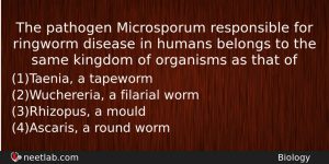 The Pathogen Microsporum Responsible For Ringworm Disease In Humans Belongs Biology Question
