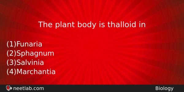 The Plant Body Is Thalloid In Biology Question 