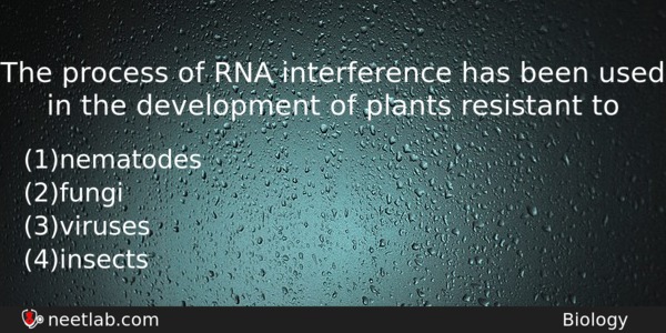 The Process Of Rna Interference Has Been Used In The Biology Question 
