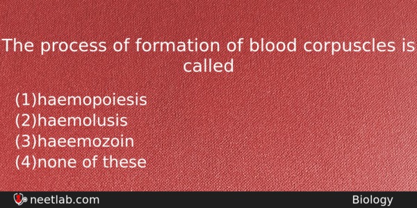 The Process Of Formation Of Blood Corpuscles Is Called Biology Question 