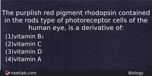 The Purplish Red Pigment Rhodopsin Contained In The Rods Type Biology Question