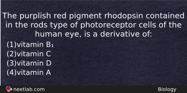 The Purplish Red Pigment Rhodopsin Contained In The Rods Type Biology Question 