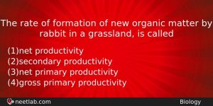 The Rate Of Formation Of New Organic Matter By Rabbit Biology Question