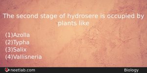 The Second Stage Of Hydrosere Is Occupied By Plants Like Biology Question