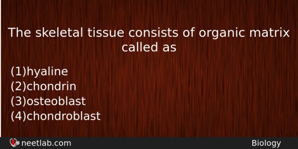 The Skeletal Tissue Consists Of Organic Matrix Called As Biology Question 